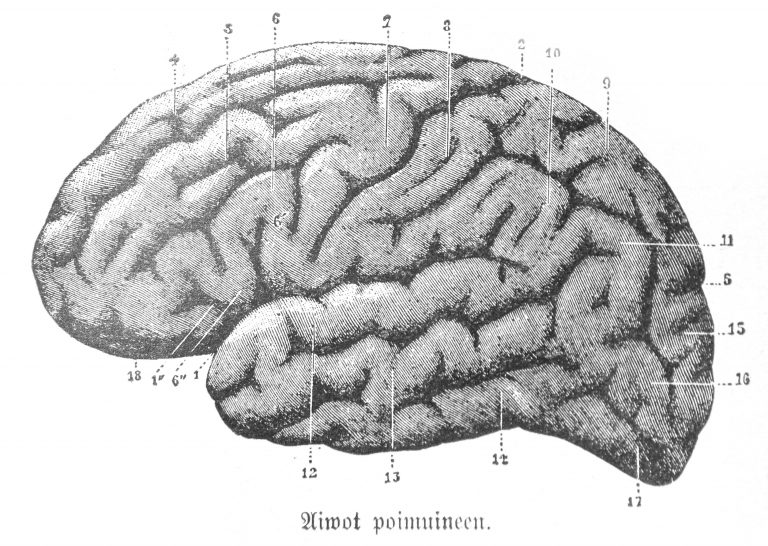 Palvelukuva Suunnittelu ja ohjaus